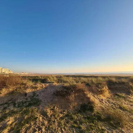 Lägenhet Avec Balcon Et Parking Pres De La - St-jean-de-monts - Fr-1-224c-284 *