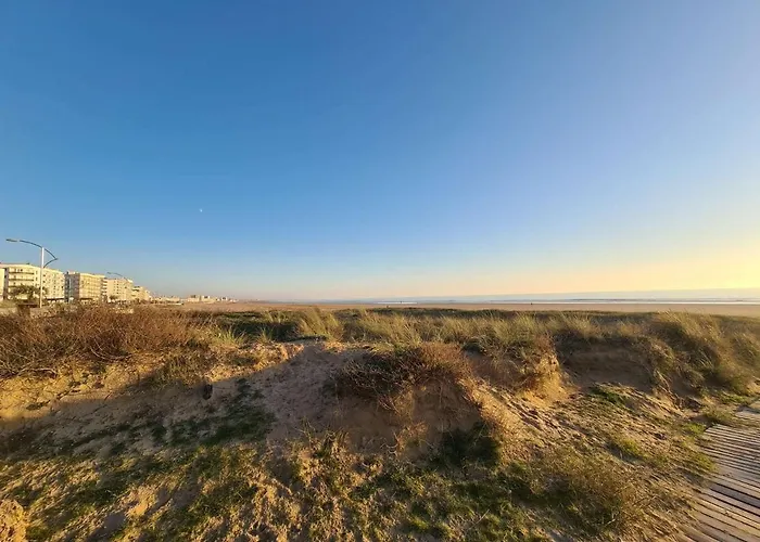 Lägenhet Avec Balcon Et Parking Pres De La - St-jean-de-monts - Fr-1-224c-284 *